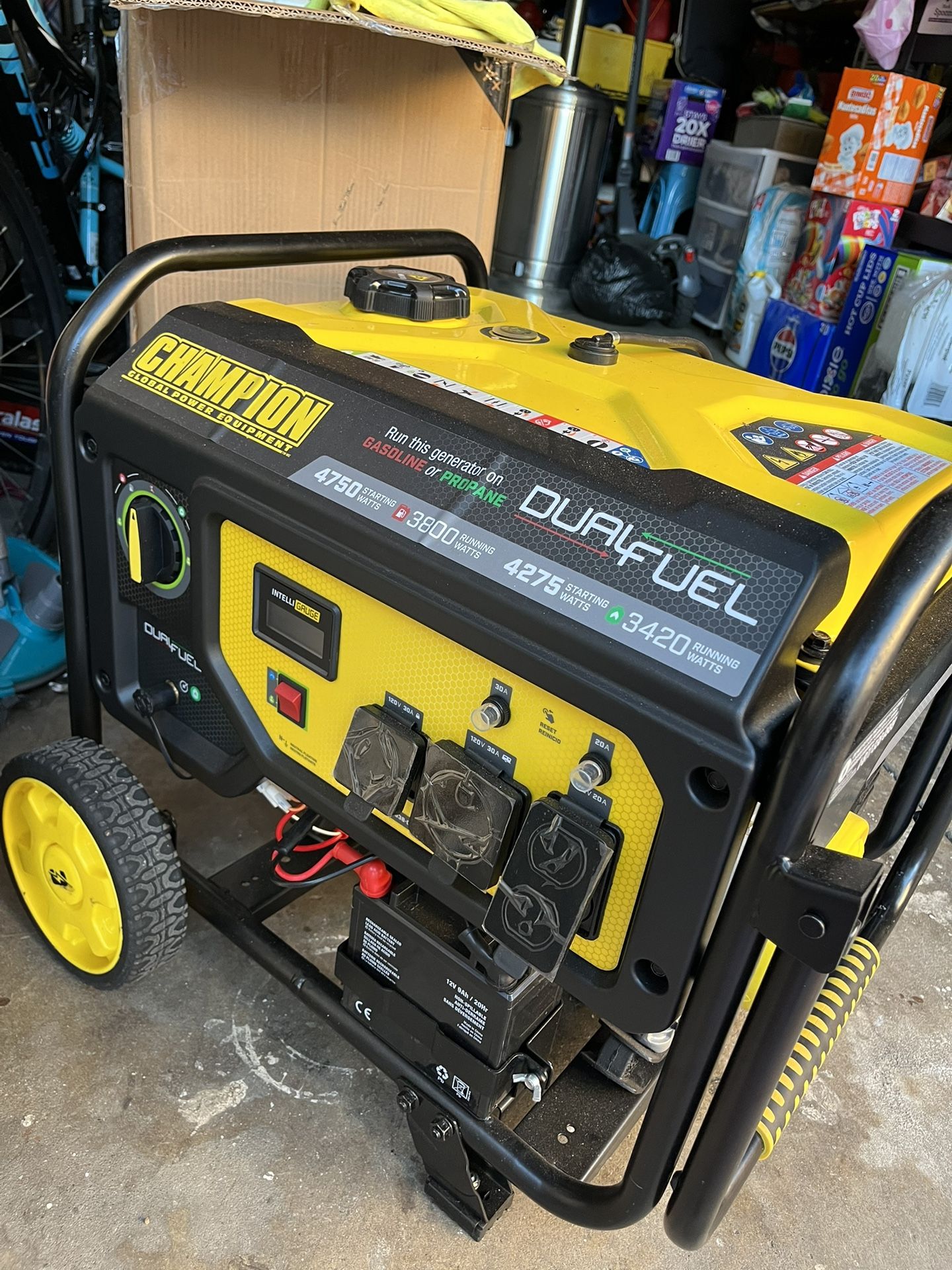 Dual Fuel Generator