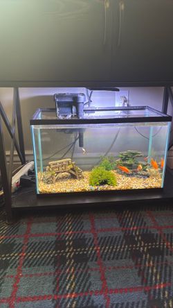 10 gallon fish tank