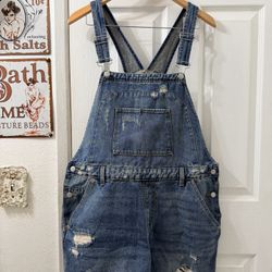 Wild Fable distressed denim short overalls