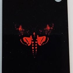 Lil Wayne Album Cover Not A Human Being Keychain 