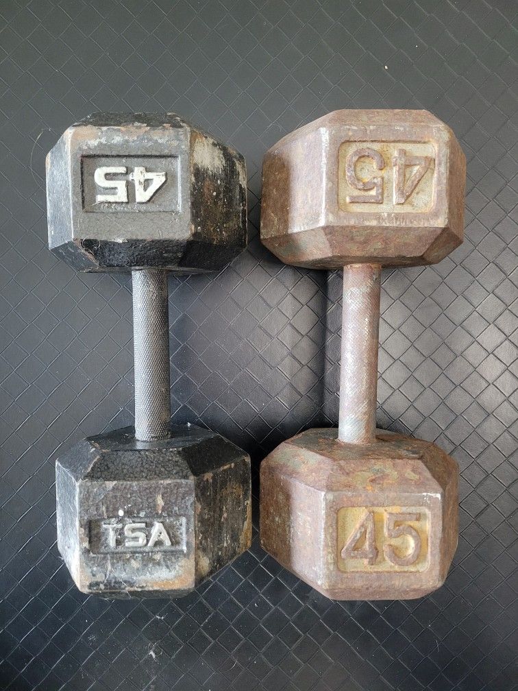 Dumbbells (45lbs Pair)
