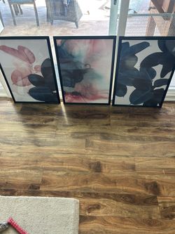 Framed Art Work