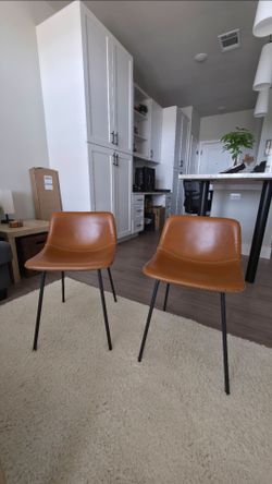 Modern Chairs