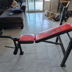 Competitor basic adjustable weight bench with leg developer