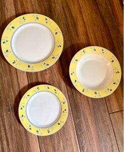 Royal Doulton Blueberry 18-Piece Dinnerware Set Service for 6 - Never Used