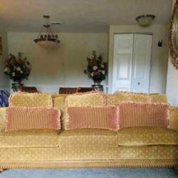 2 Piece Couch With Pillow 