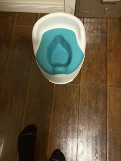 Potty Chair