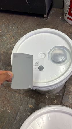Quality House Paint 🏠 