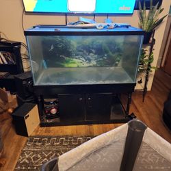 125g fish tank