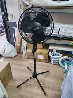 True Living Black Pedestal Standing Fan