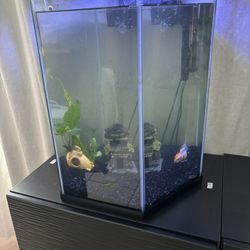 Fish Tank