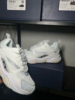 dior b22