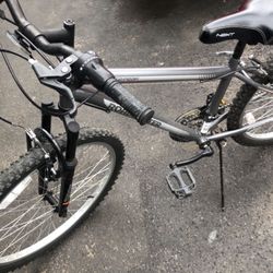 Roadmaster Bike 24”