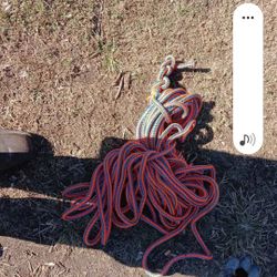 Tree Climbing Rope 100 Ft