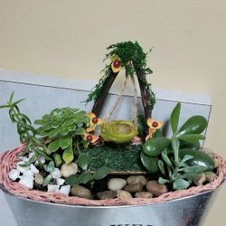 Mother's day Plants Arrangement 