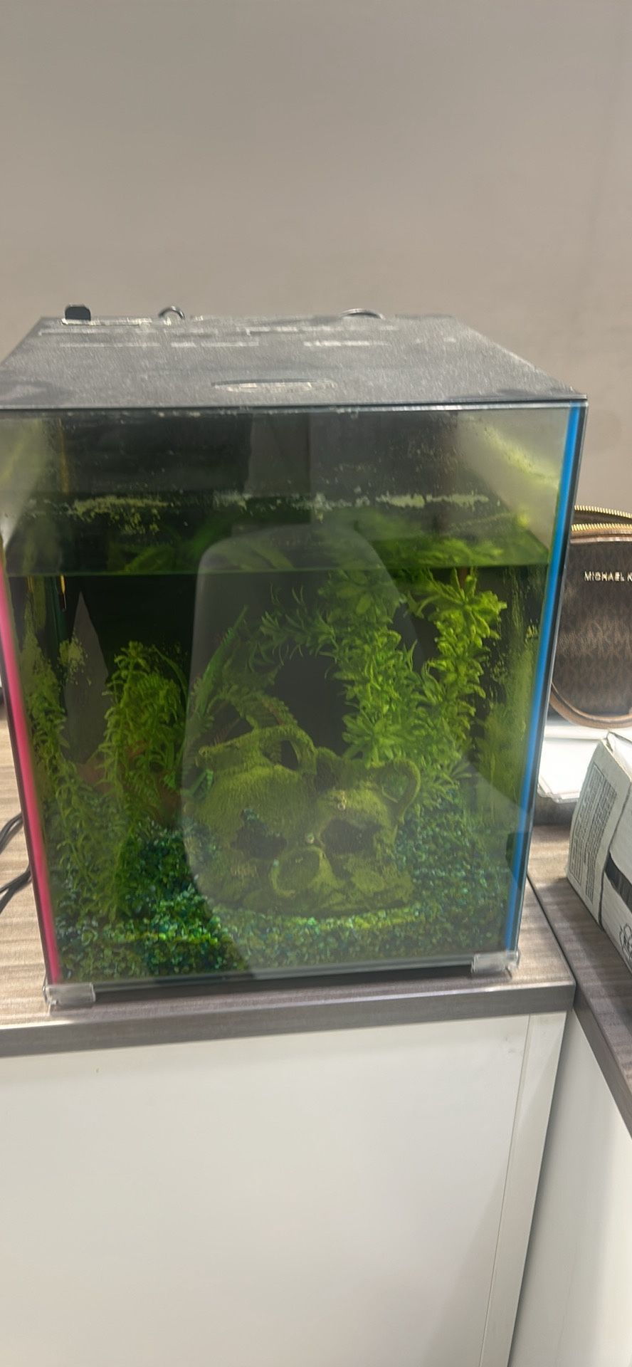 Fish Tank