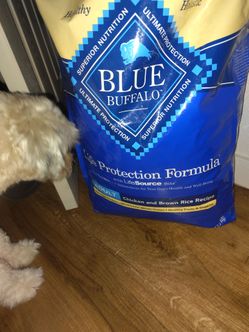 30 pound bag of Blue buffalo
