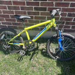 Boys 20" Bike