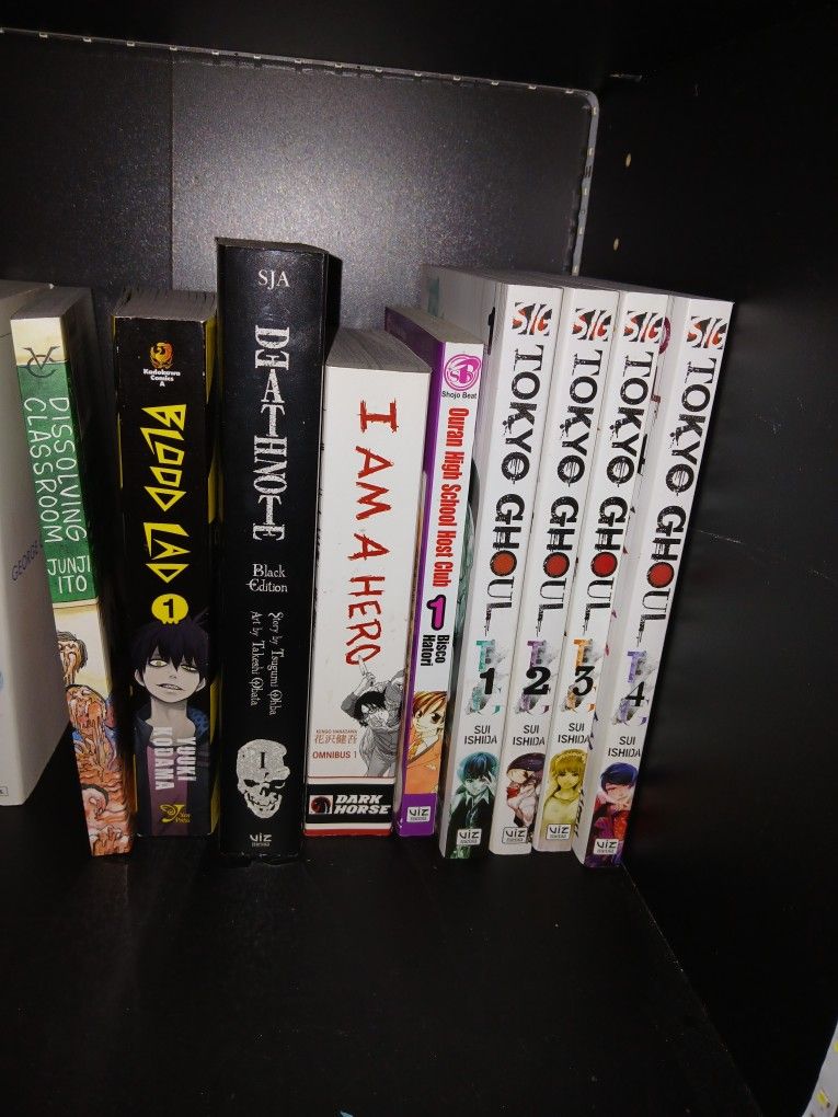 Random Manga Lot