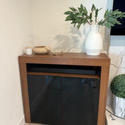 2-door Accent Chest (with storage!)