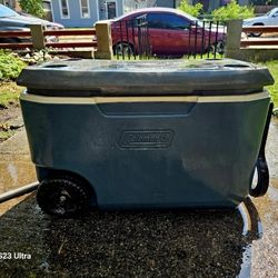Colman 50qt Cooler