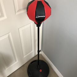 Punching Ball