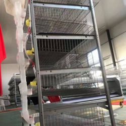 25 Quail Cages with Bunker Feeder