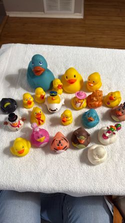 Variety of Duck collection