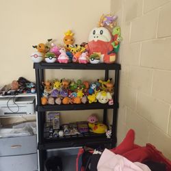 Pokemon Lot