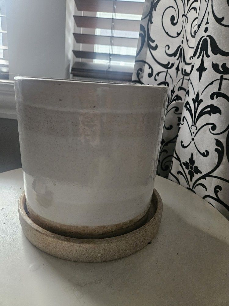 West elm Plant pot