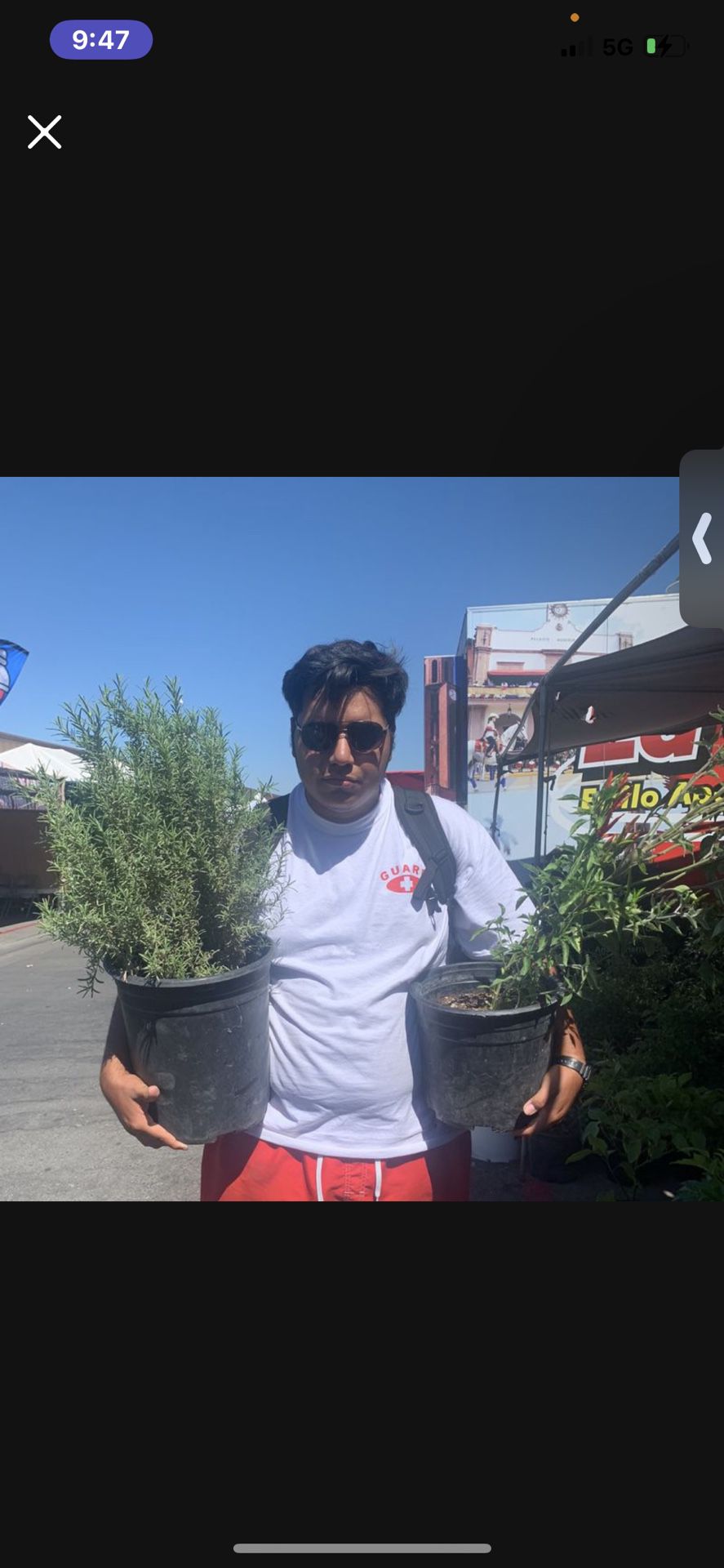 Plants 4 Sale