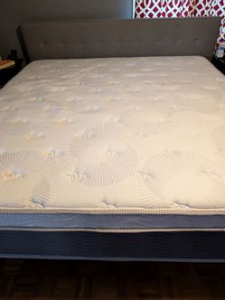 Free king mattress only