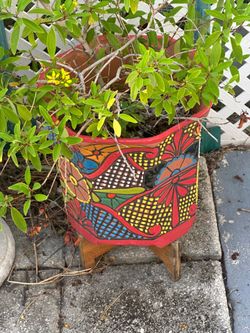 Colorful Ceramic Plant Pot