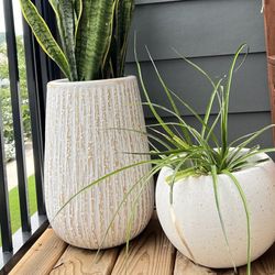 Ceramic plant pots (2)