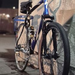 Carbon Fiber Specialized Trac Bike