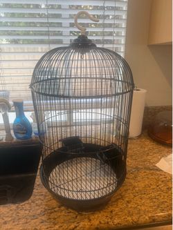 Bird Cage