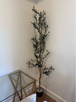 Faux fig tree