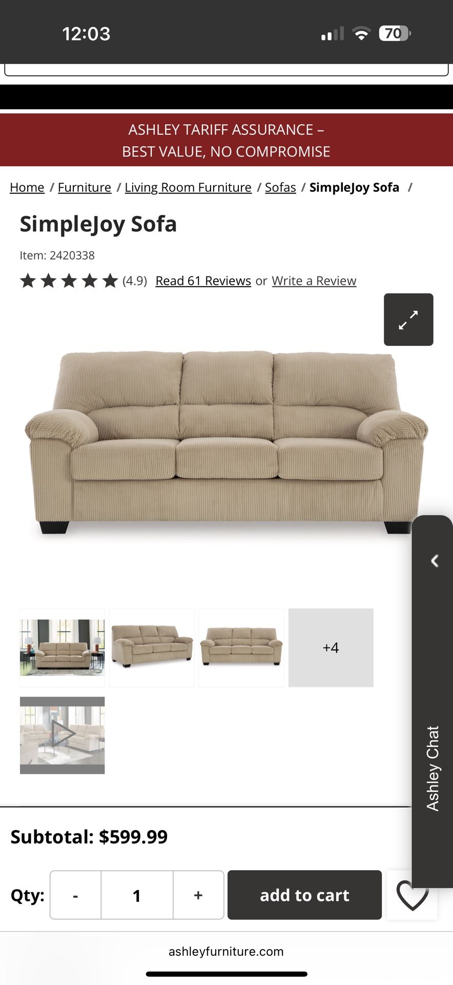 Ashley Simplejoy Sofa
