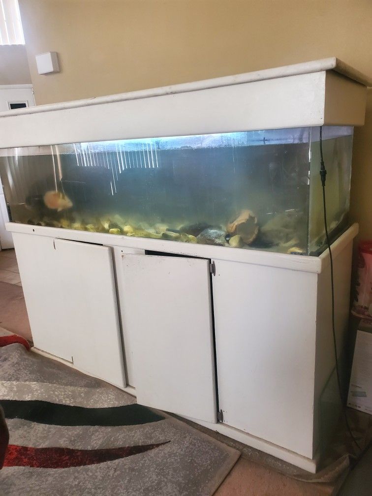 Fish Tank With EVERYTHING!