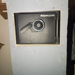 Sentry Safe