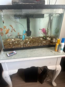 29 gallon Aquarium