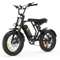 CW Electric Bike W Turn Signals