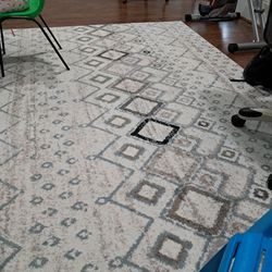 Carpet In Good Condition 
