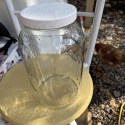 Gallon Jars