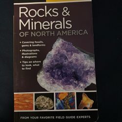 Rocks And Minerals 