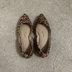 Cheetah Flats