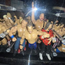 TRADE ONLY. Jakks Pacific WWE Action Figures 