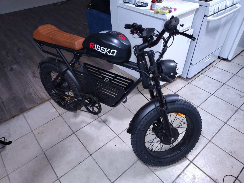 Dual Motor AWD E Bike 2000W Massive 26Ah Battery