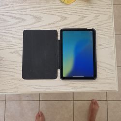 iPad Mini 6th Generation (Cellular Capable)