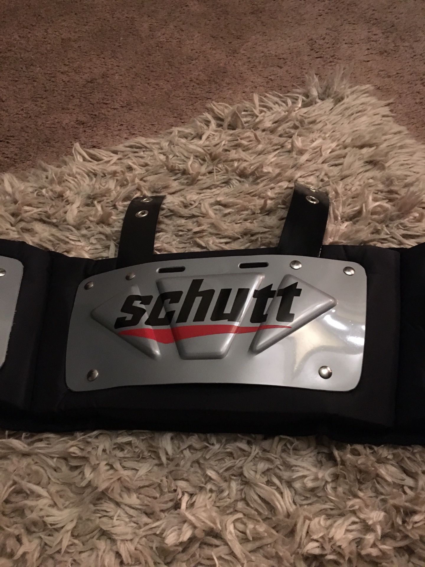 Rib cage protector
